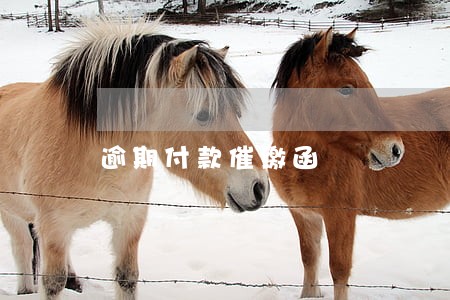逾期付款催缴函 逾期付款催缴函