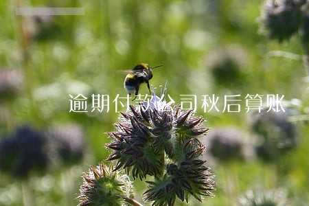 逾期付款公司秋后算账 逾期付款公司秋后算账