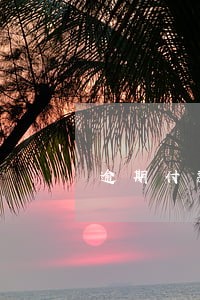 逾期付款公告 逾期付款公告