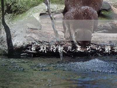 逾期付款几天可以解除合同 逾期付款几天可以解除合同