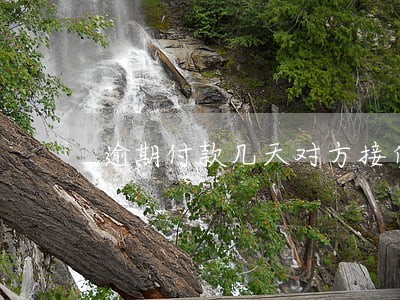 逾期付款几天对方接受算违约吗 逾期付款几天对方接受算违约吗
