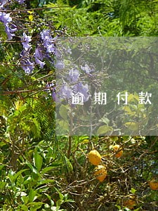 逾期付款函签收法律效果