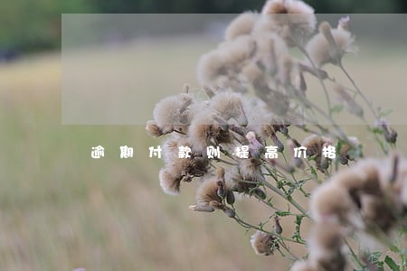 逾期付款则提高价格 逾期付款则提高价格