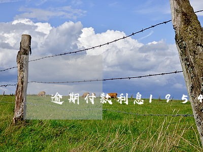逾期付款利息1954 逾期付款利息1954