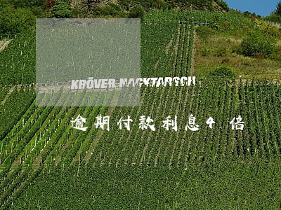 逾期付款利息4倍 逾期付款利息4倍