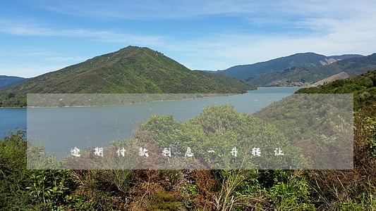 逾期付款利息一并转让 逾期付款利息一并转让