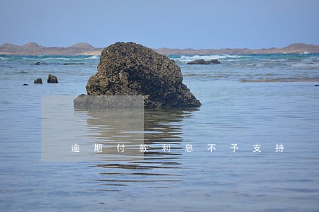 逾期付款利息不予支持 逾期付款利息不予支持