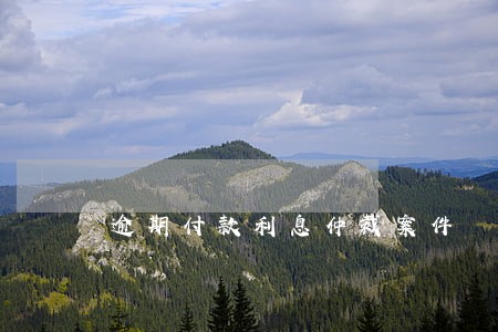 逾期付款利息仲裁案件