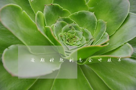 逾期付款利息会计核算