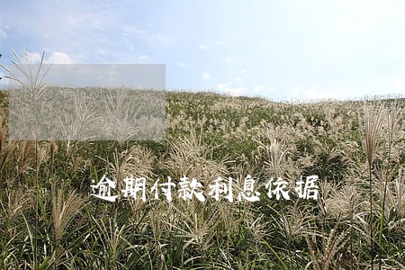 逾期付款利息依据