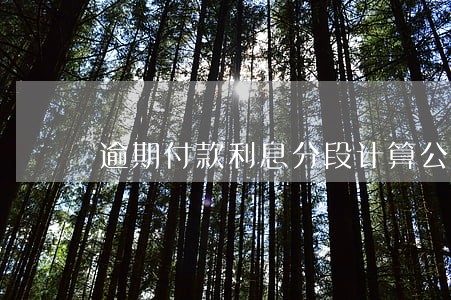 逾期付款利息分段计算公式