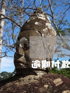 逾期付款利息判决