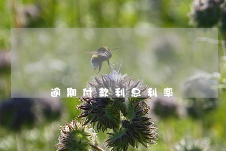 逾期付款利息利率