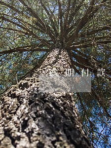 逾期付款利息双方协商