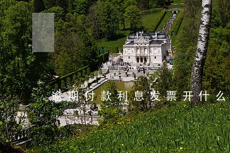 逾期付款利息发票开什么项目