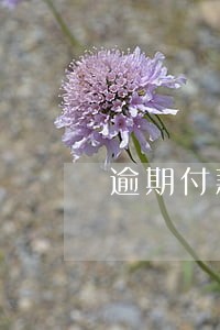 逾期付款利息合同法约定