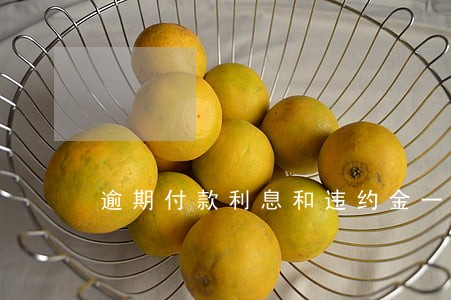 逾期付款利息和违约金一样
