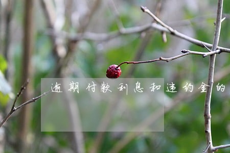 逾期付款利息和违约金的区别