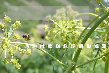 逾期付款利息增值税发票