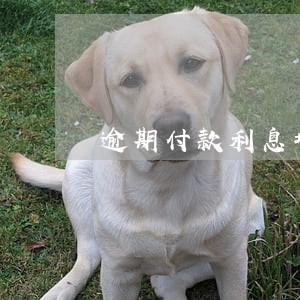 逾期付款利息增值税税率