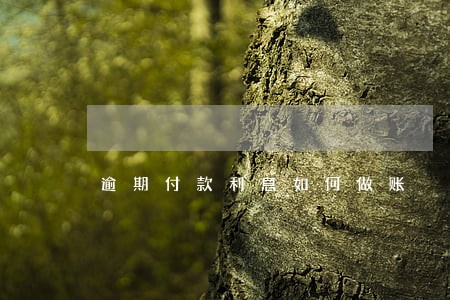 逾期付款利息如何做账