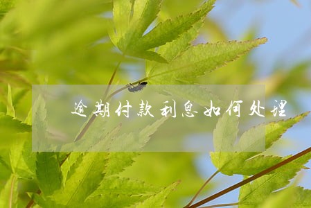 逾期付款利息如何处理