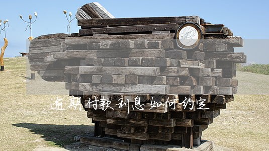 逾期付款利息如何约定 逾期付款利息如何约定