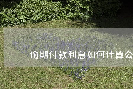 逾期付款利息如何计算公式 逾期付款利息如何计算公式