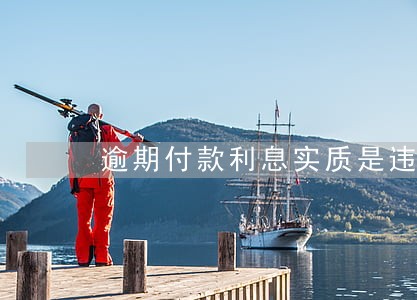 逾期付款利息实质是违约金的性质 逾期付款利息实质是违约金的性质