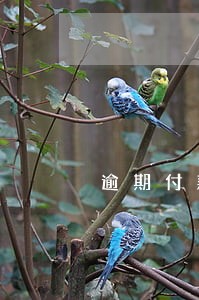 逾期付款利息对应的法条 逾期付款利息对应的法条