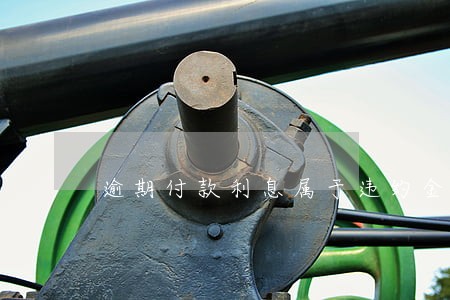 逾期付款利息属于违约金还是 逾期付款利息属于违约金还是