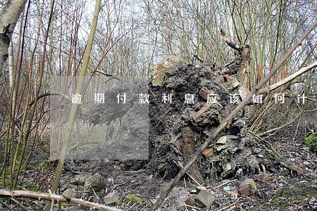 逾期付款利息应该如何计算 逾期付款利息应该如何计算