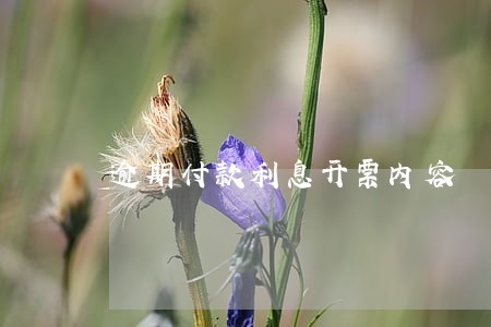 逾期付款利息开票内容 逾期付款利息开票内容