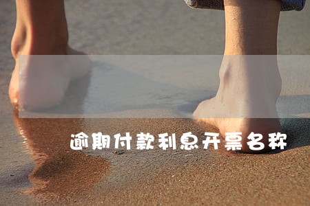逾期付款利息开票名称 逾期付款利息开票名称