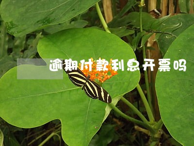逾期付款利息开票吗