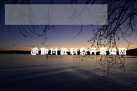 逾期付款利息开票编码 逾期付款利息开票编码