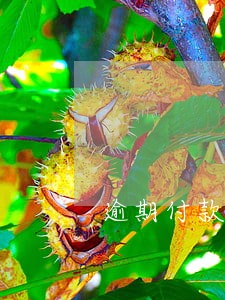逾期付款利息怎么入账 逾期付款利息怎么入账