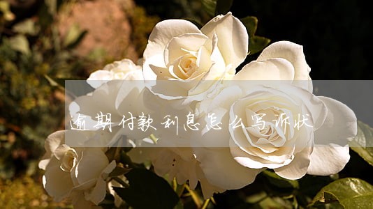 逾期付款利息怎么写诉状 逾期付款利息怎么写诉状