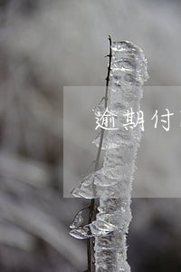 逾期付款利息怎么开票 逾期付款利息怎么开票