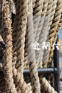 逾期付款利息怎么开票给对方