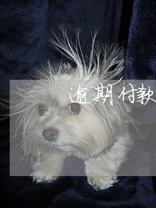 逾期付款利息怎么收取 逾期付款利息怎么收取