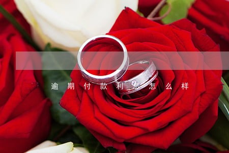 逾期付款利息怎么样 逾期付款利息怎么样
