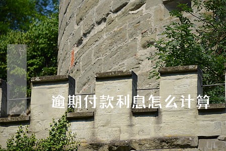 逾期付款利息怎么计算 逾期付款利息怎么计算