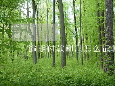 逾期付款利息怎么记帐 逾期付款利息怎么记帐