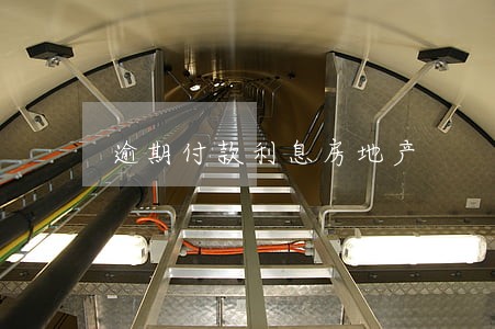 逾期付款利息房地产 逾期付款利息房地产
