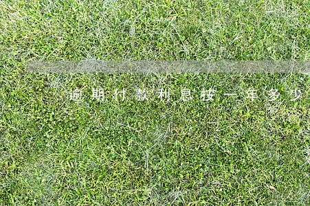 逾期付款利息按一年多少天计算 逾期付款利息按一年多少天计算