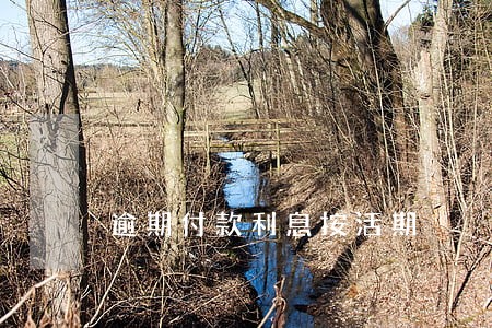 逾期付款利息按活期 逾期付款利息按活期