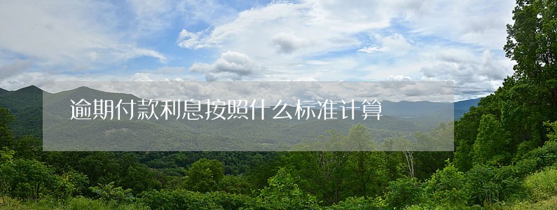 逾期付款利息按照什么标准计算 逾期付款利息按照什么标准计算