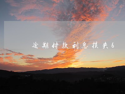 逾期付款利息损失6 逾期付款利息损失6