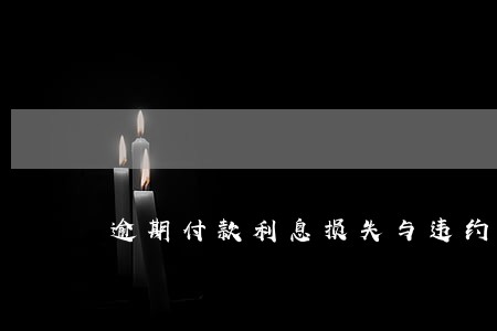 逾期付款利息损失与违约金 逾期付款利息损失与违约金